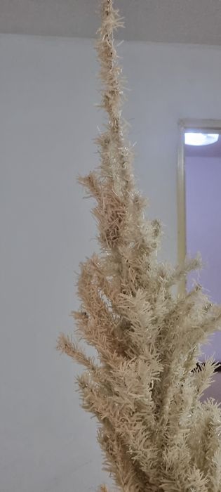 Árvore de natal branca