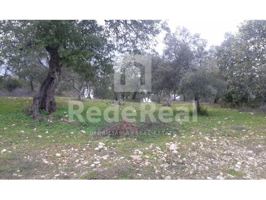 Terreno Rústico - Loulé - Algarve