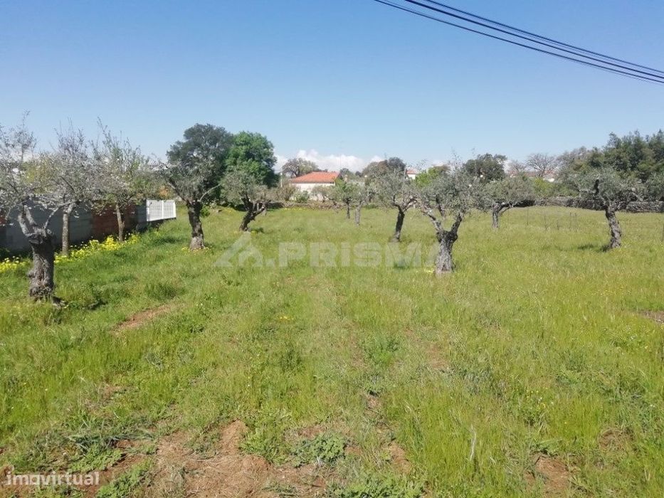 Terreno rústico para venda