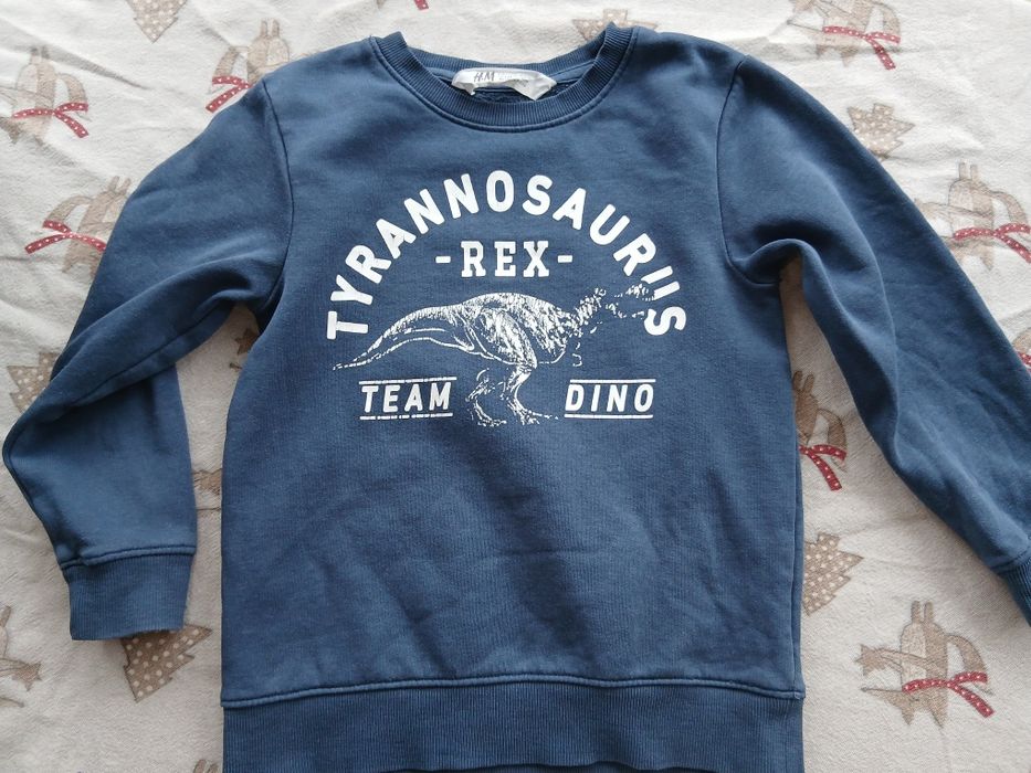Світшот H&M з динозавром, кофта, кофтина для хлопчика 110-116