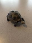 Figurka Schleich żółw