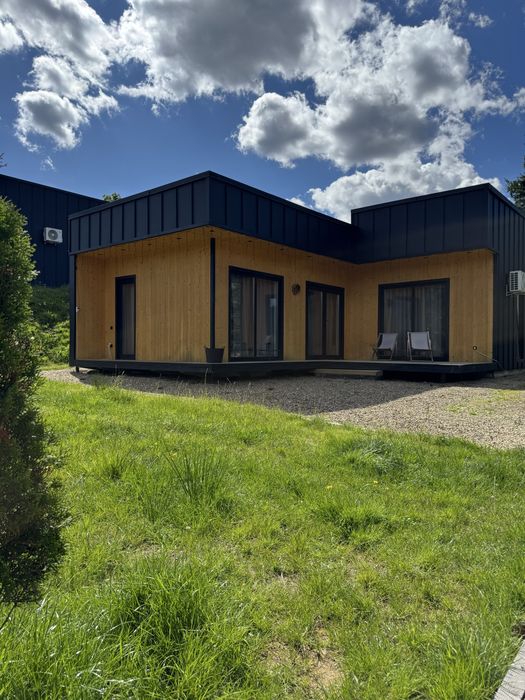 Будинок в Карпатах