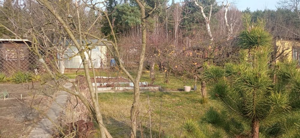 Działka ROD Częstochowa