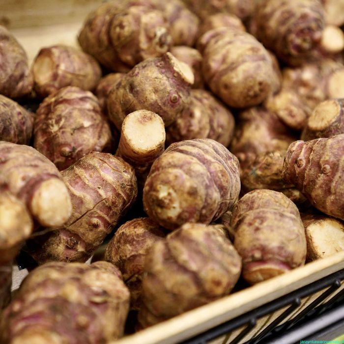 Topinambur 10zł/kg