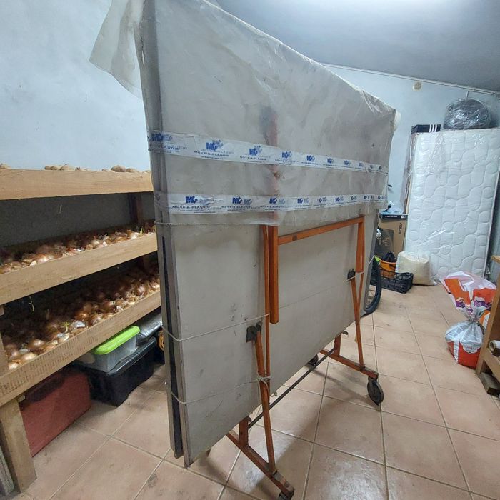 Mesa Ping-Pong (desocupar)