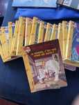 16 livros  de Geronimo Stilton, em francês