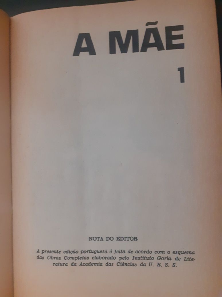 Livro A Mãe de Maximo Gorki