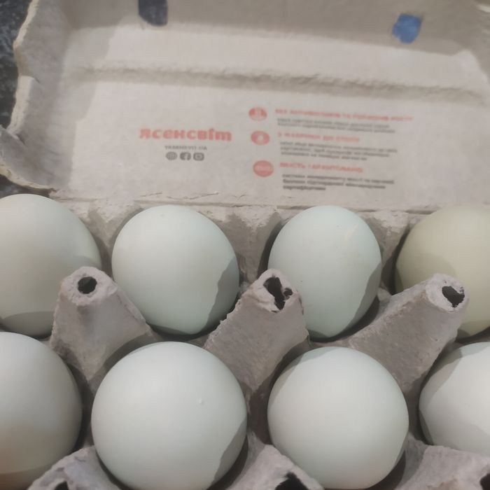 Ія мішаних курей