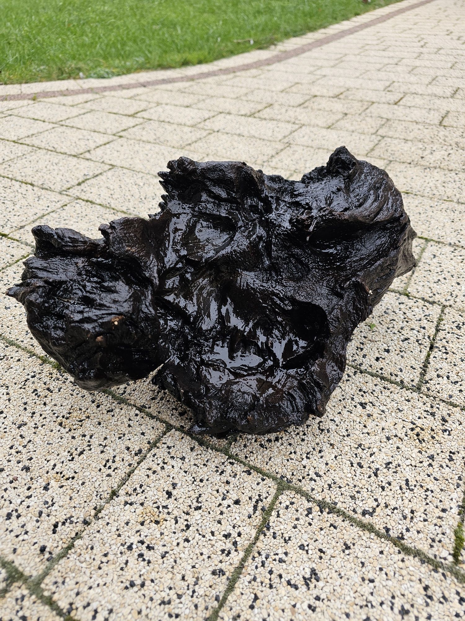 Korzen do akwarium lub terarium