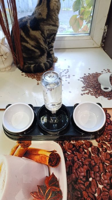 Миска + автоматическая поилка для котов