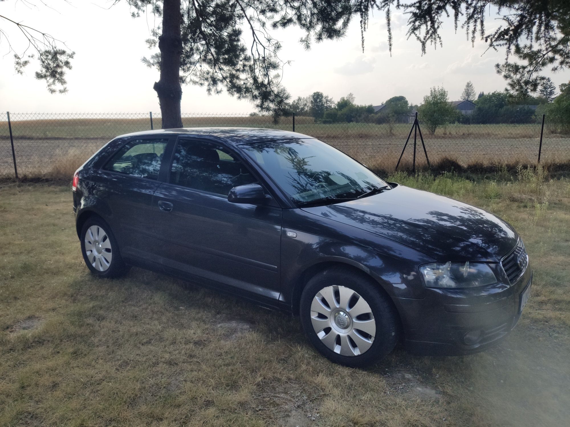 Audi a3 8p 1.6 MPI 2004r
