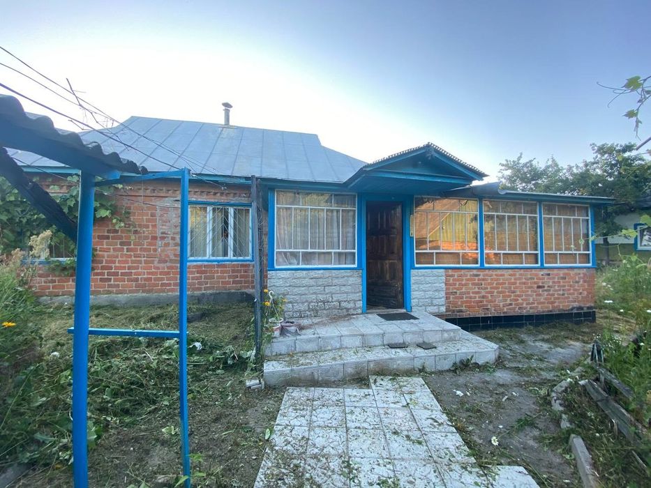 Великий будинок на березі Десни