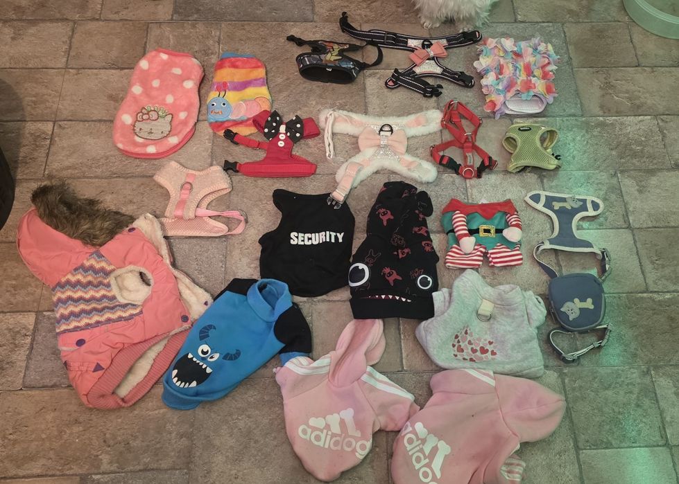 Ubranka ubranko obroże obroża szelki dla psa