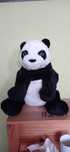 Panda Ikea ideał