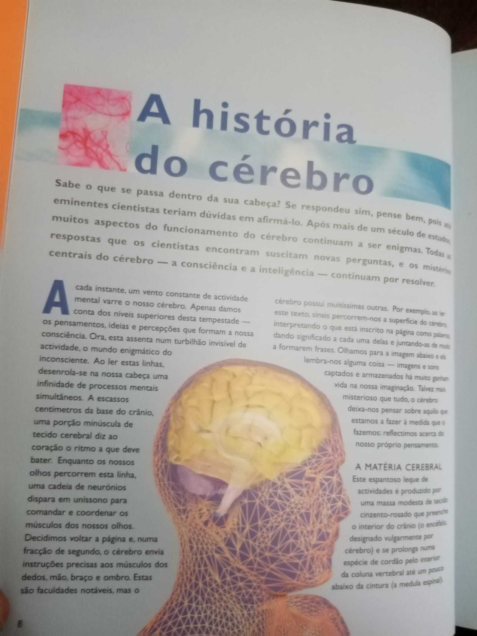 Cérebro e sistema nervoso central