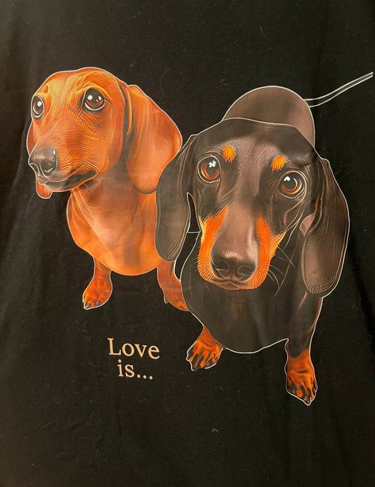 Koszulka z jamnikiem