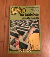 Livro Uma Aventura - No Labirinto Misterioso