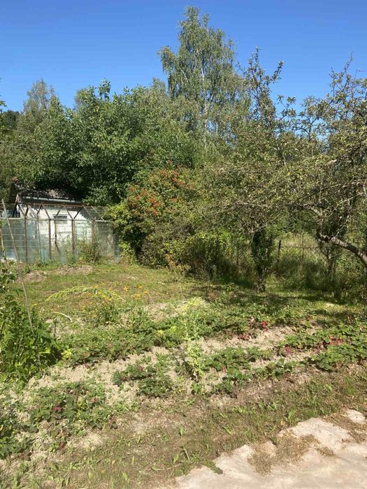 Продаж дачний будинок і прилегла земля