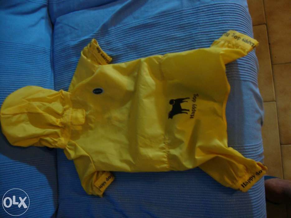 Roupa de pet com capucho