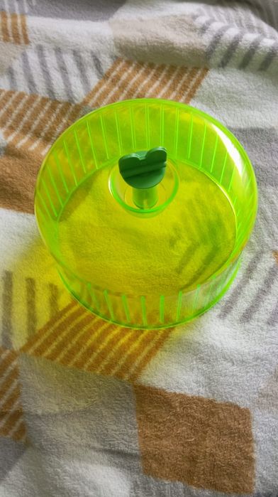 Kołowrotek dla gryzoni