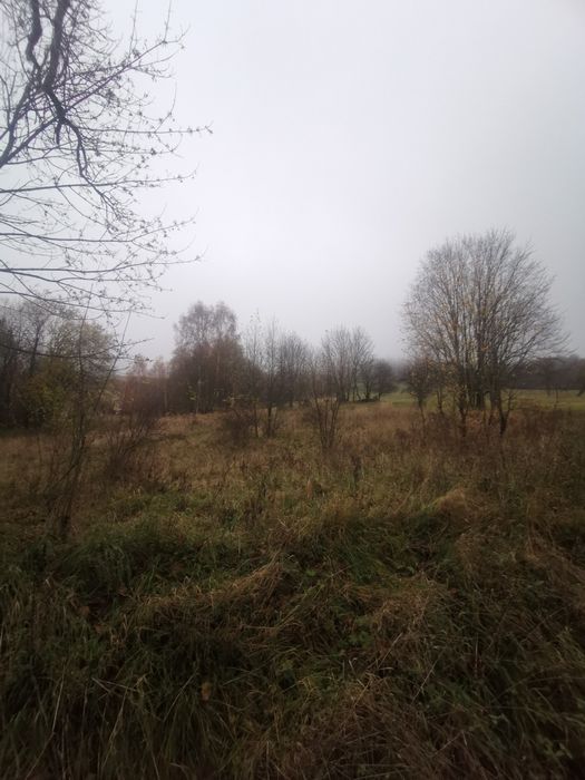 Sprzedam działkę w Kotlinie Kłodzkiej