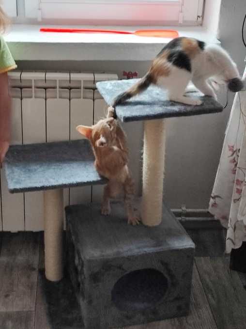 Drapak szary słupek do drapania domek drzewko legowisko dla kota