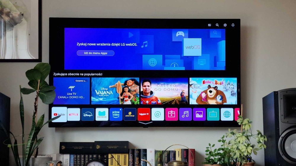 Telewizor OLED LG 55 cali OLED55B9SLA webOS