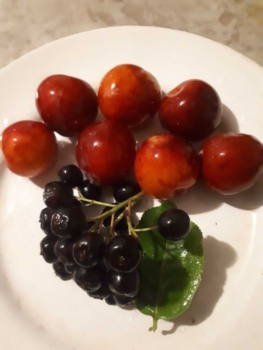 Sok z mirabelki z dodatkiem aronii