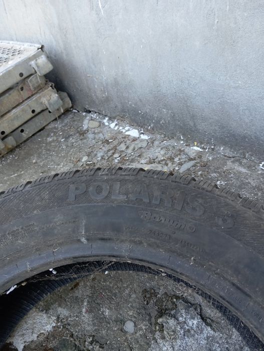 Подарую Barum polaris 3 205 55 16