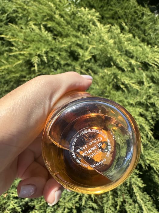 Kilian Angel Paradis Angel share on the rock Оригінал