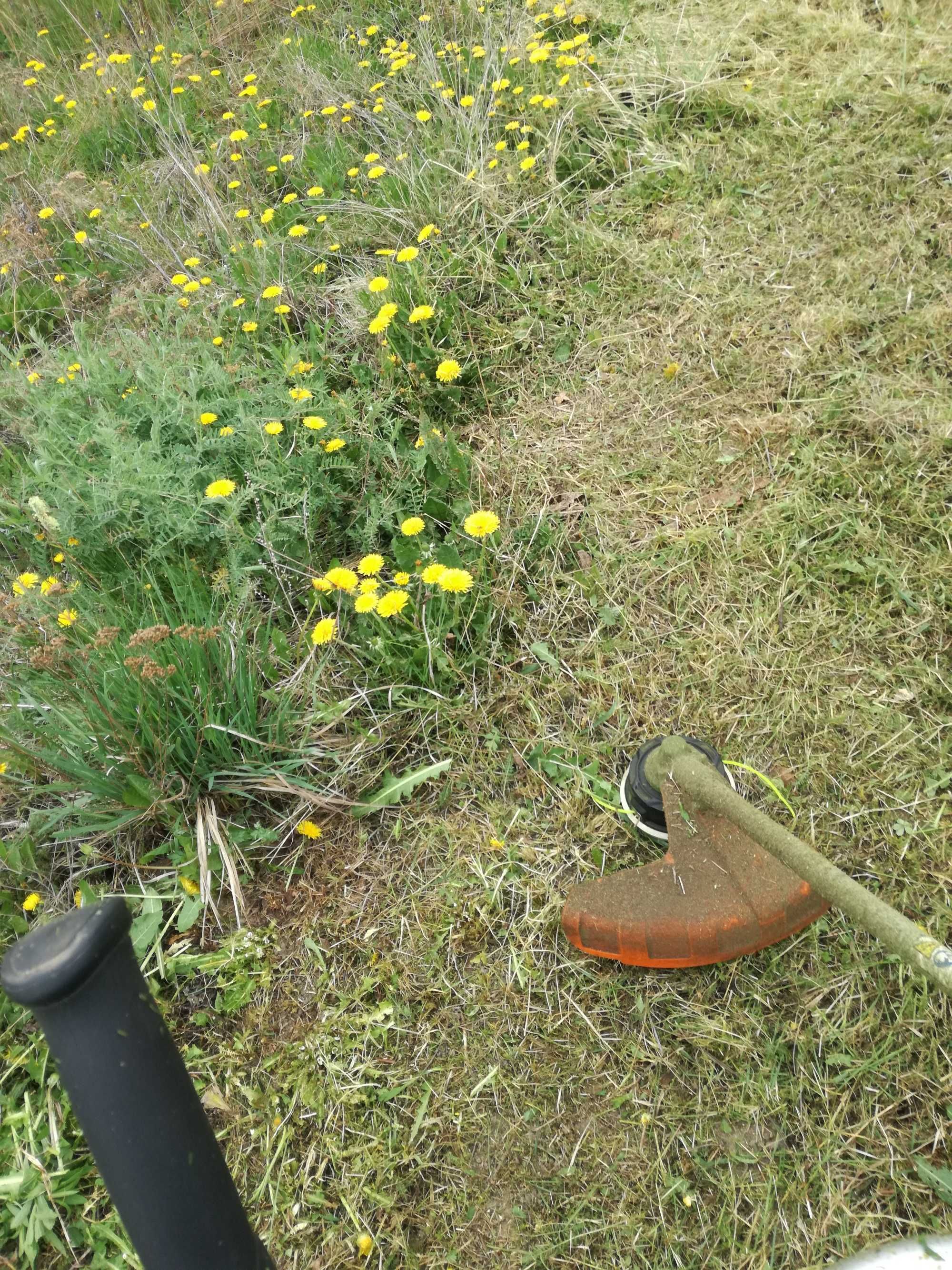 KOSZENIE TRAW ŁĄK oraz ZAROŚLI, kosa spalinowa traktor mulczer