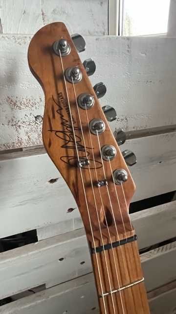 Chapman ML-1 Hybrid SSB diMarzio i case