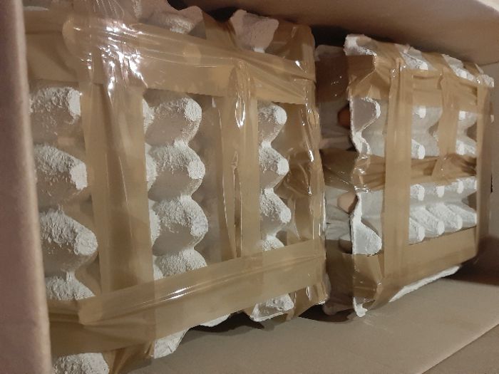 Бройлерні інкубаційні яйця