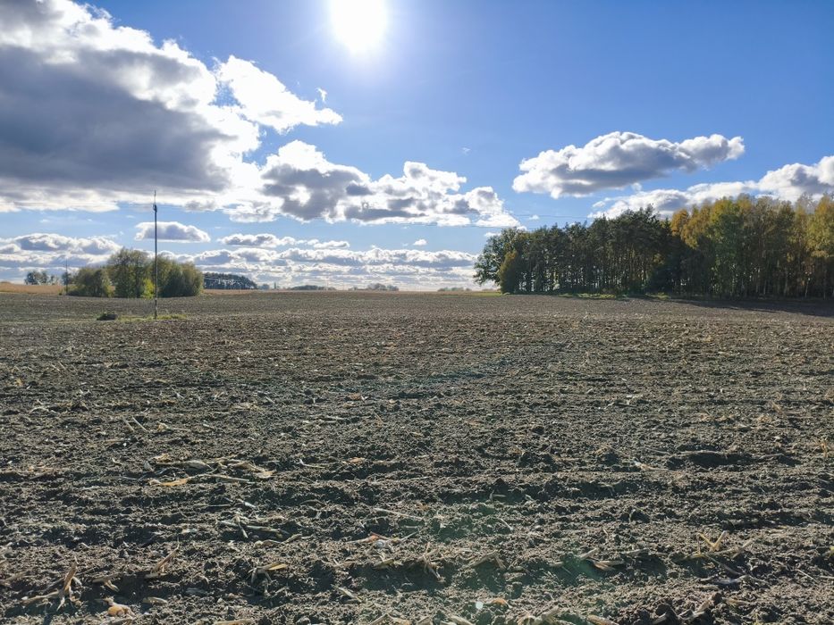 Gospodarstwo rolne 11 ha