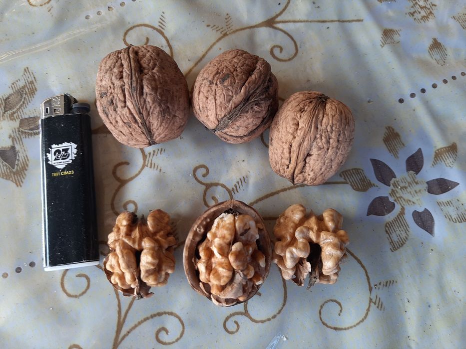 Горіх чищений 2025