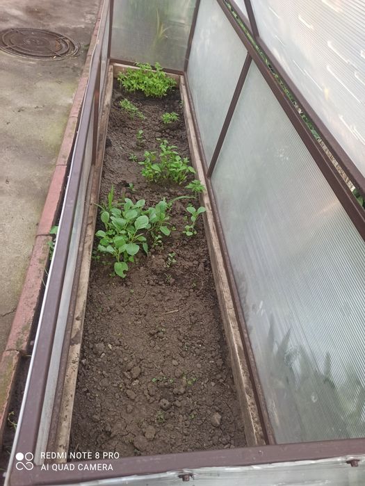 Продам міні теплицю - сушку 2 в 1