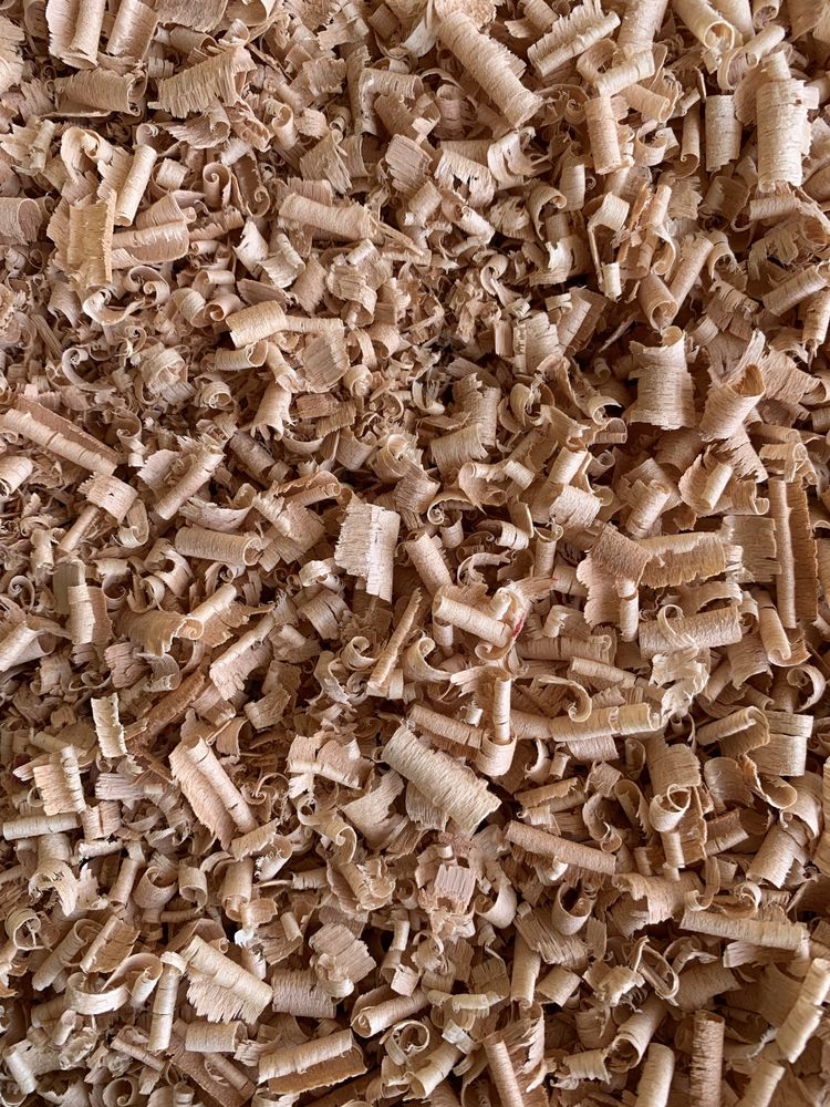 Aparas de Madeira 100% Limpa