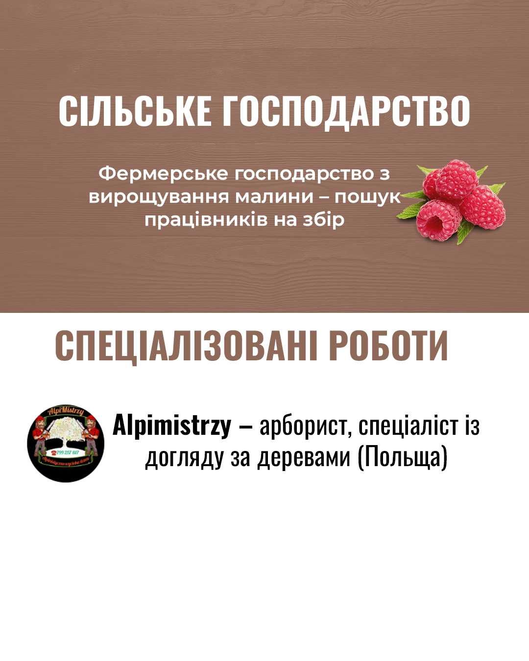 Таргетолог Анатолій | 4 років досвіду | Facebook/Meta ADS