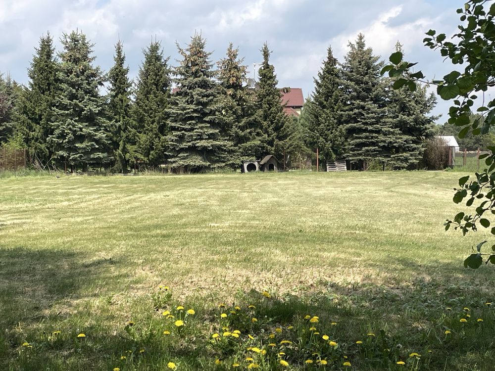 Dzialka ze stawem , cisza, spokoj i wlasna plaża. 40 min od Warszawy