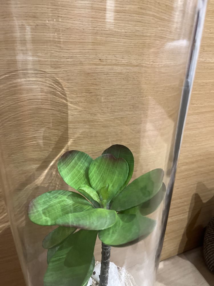 Jarra em vidro com decoração