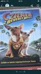 Film DVD Ciułała  z Beverly Hills.