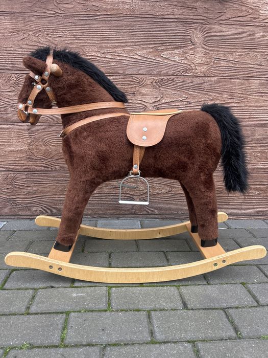 Konik na biegunach