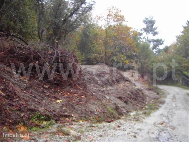 Terreno de construção em Vinhós