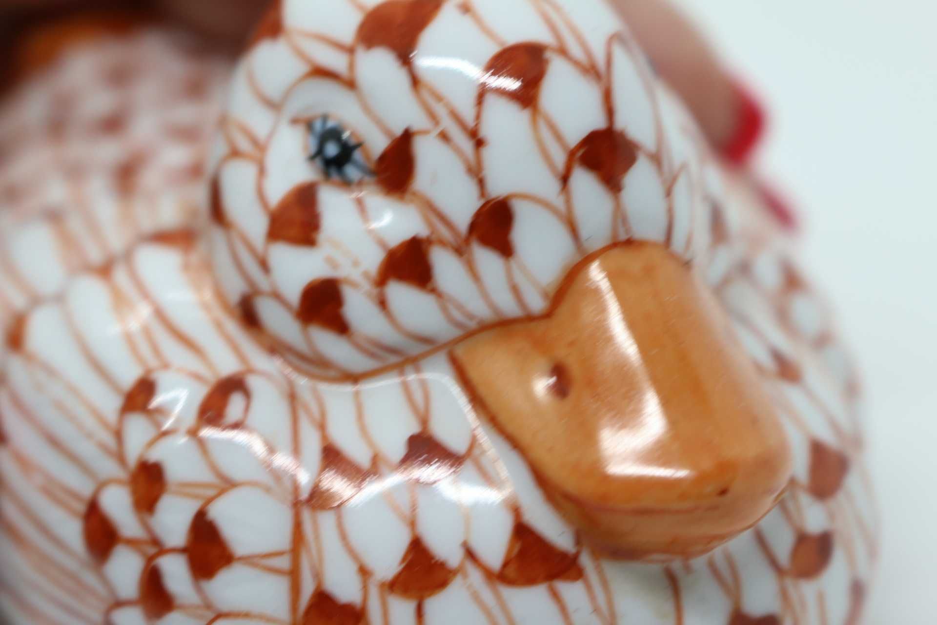 Pato pintura em penas Porcelana Chinesa Laranja XX