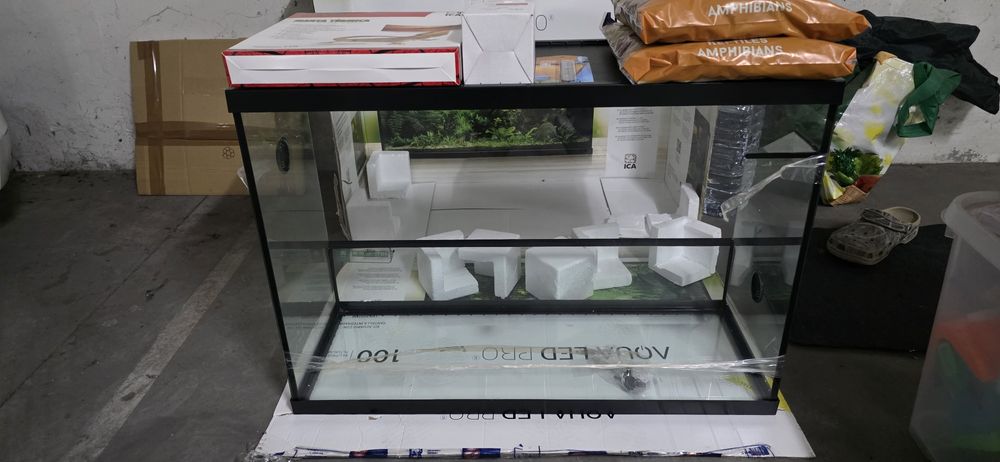Terrario Novo Reptiselva