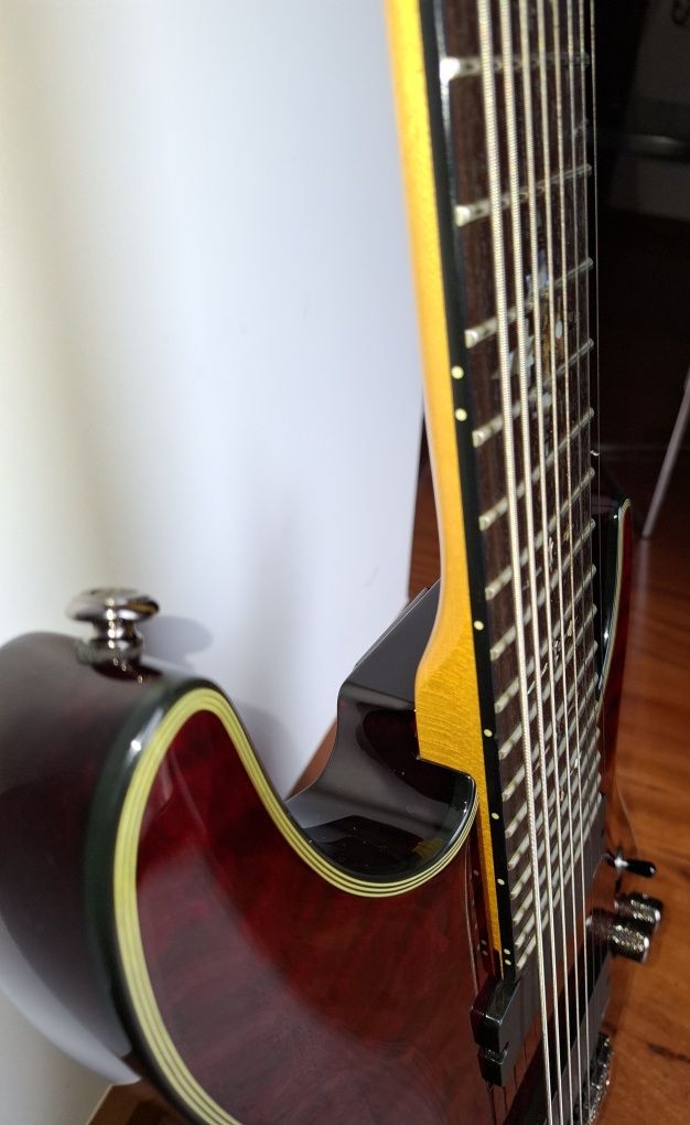 Guitarra elétrica Schecter Diamond Series Damien Elite 8 cordas