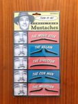 Conjunto de bigodes