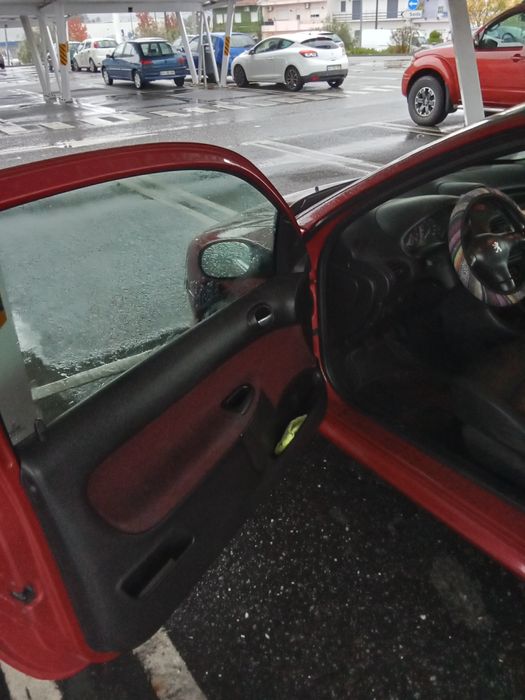 Peugeot 206 gasolina