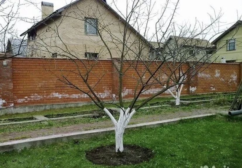 Обрезка фруктового сада !Опрыскивание сада!