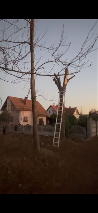 Розчистка ділянки під ключ,Розліснення,Зрізання висотних дерев